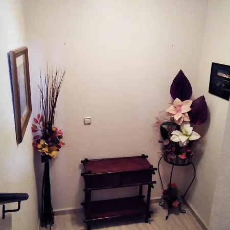 Homely Blue Coast Apartment San Miguel De Salinas